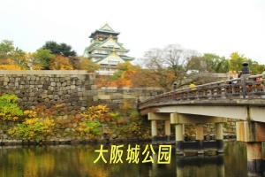 <北京到日本5晚6日游>东京1天自由活动+浅草寺+富士山+忍野八海+