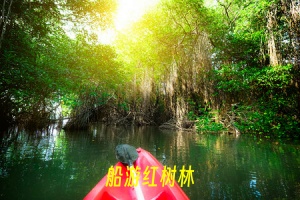 <北京到斯里兰卡七日梦幻之旅>斯航直飞+4-5星+含签证含小费