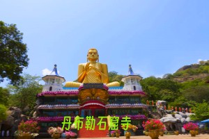 <北京到斯里兰卡6晚8日游>斯航直飞+升级4-5星海景房+特色餐