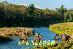 奇特旺国家森林公园22.jpg