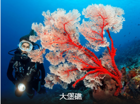 <澳新凯>澳大利亚+新西兰（北岛）+凯恩斯13日精华游 国航直飞 3-4星酒店住宿