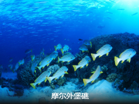 <澳新凯>澳大利亚·新西兰·凯恩斯12日精华游 国航直飞 邂逅绿岛大堡礁