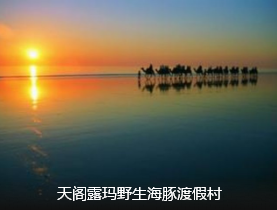<北京到澳大利亚新西兰13日>国航直飞+海景房+直升机观岛萤火虫洞