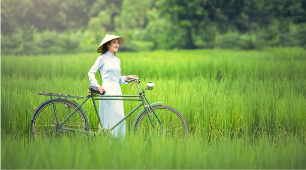 <越柬连线>北京到越南柬埔寨8日游 胡志明市 美托 金边 吴哥经典之旅