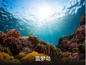 <高端>北京到巴厘岛7日2晚海景城堡别墅+出海双岛游+特色自助餐+下午茶