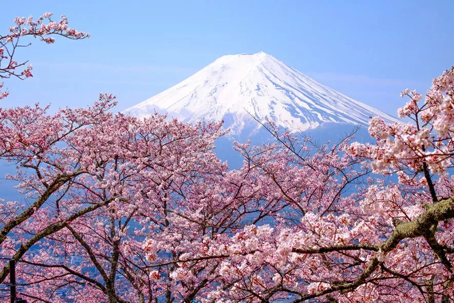 <日本五年签证>自由行套餐必备+多次往返+北京领区送签+资料简化