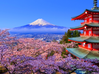 <日本双古都双温泉经典轻奢6日游>两点进出+自由活动