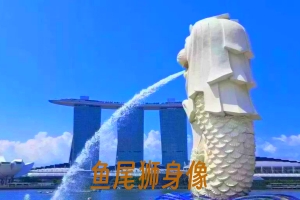 出到新加坡马来西亚的