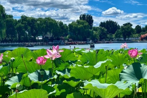 2026年北京密云一 2026年北京密云一