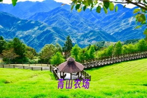 青山农场.webp.jpg